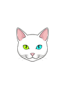 appkittie